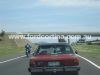 Filename=Melb_cruise_07030_(Small).JPG
Filesize=31KB
Dimensions=640x480
Date added=Dec 02, 2007 Melb_cruise_07030_(Small).JPG
