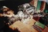 Filename=alltogether.jpg
Filesize=35KB
Dimensions=566x381
Date added=Apr 03, 2006 alltogether.jpg