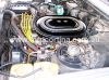 100_4367.jpg